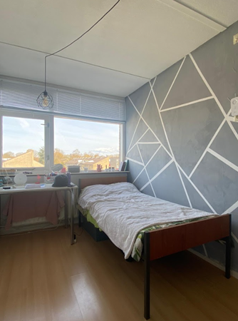 Medium property photo - Zonnelaan 58, 9742 BN Groningen